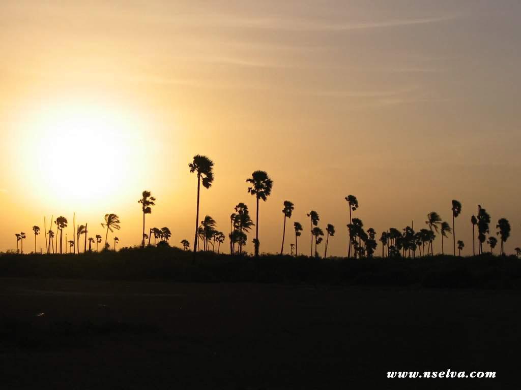 Sai Holiday Inn Jaffna Exterior foto